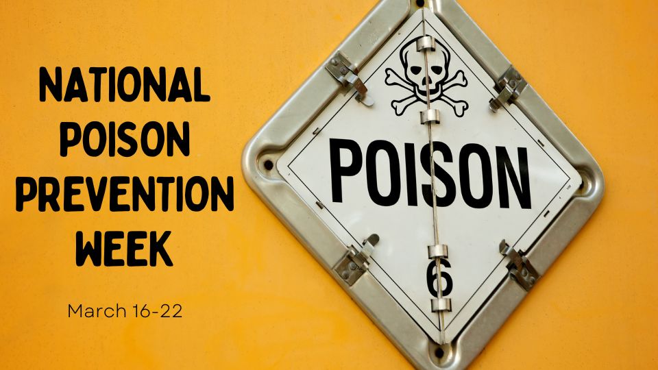 Practice Poison Prevention Safety