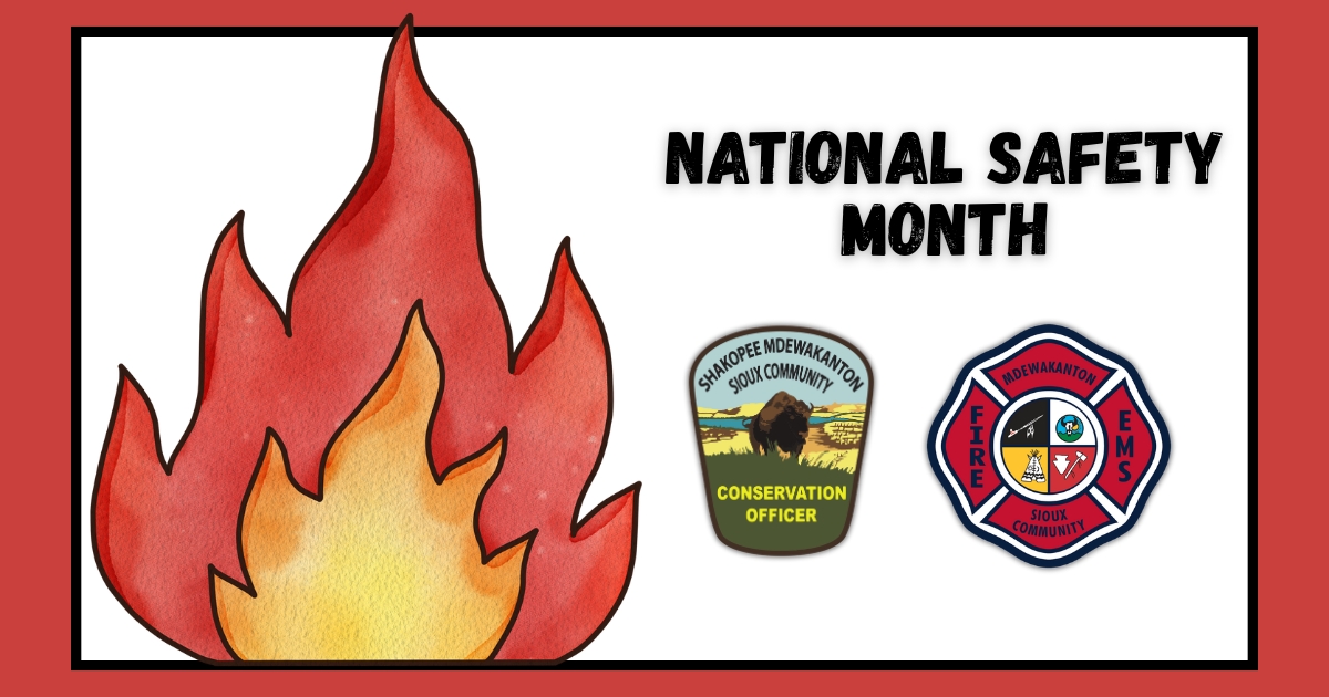 Practice Fire Safety This Summer